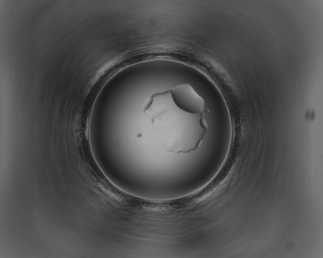 X0000090421210200707131201