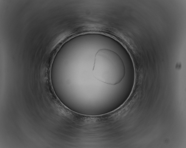 X0000090421211200707131201