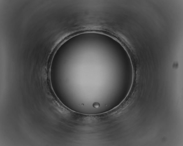 X0000090421212200707131201
