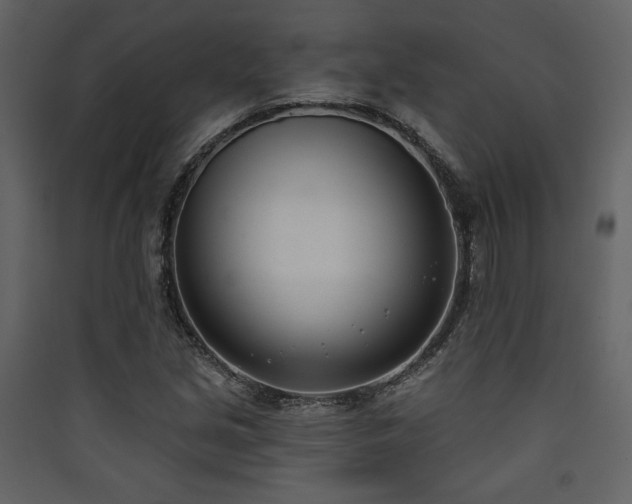X0000090421213200707131201