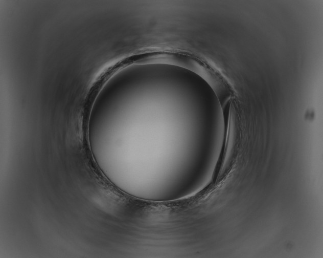 X0000090421214200707131201