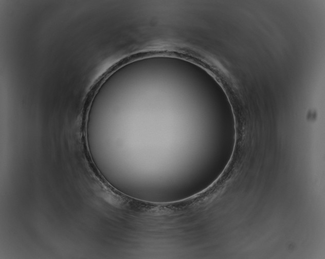 X0000090421216200707131201