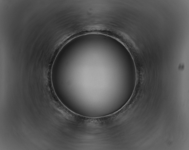 X0000090421217200707131201