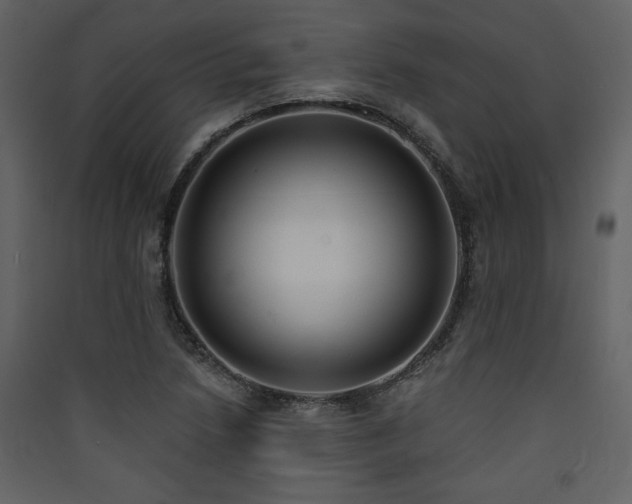 X0000090421218200707131201