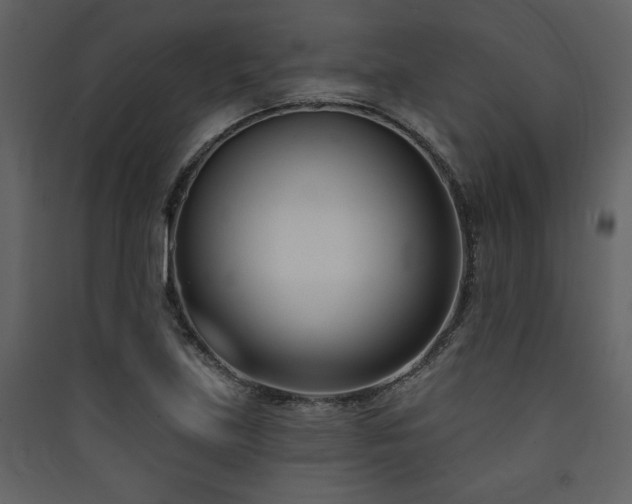 X0000090421219200707131201