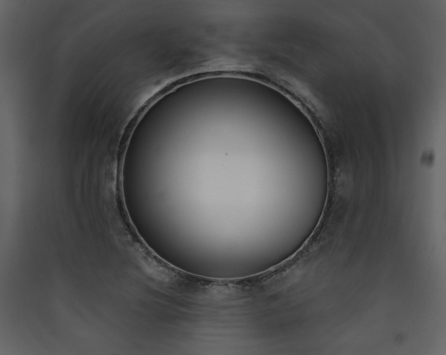 X0000090421220200707131201