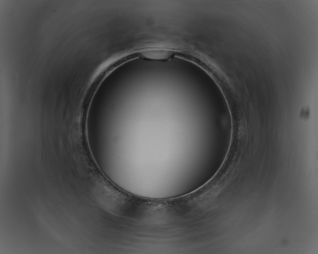 X0000090421222200707131201