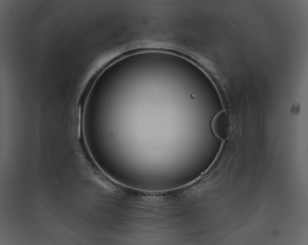 X0000090421223200707131201