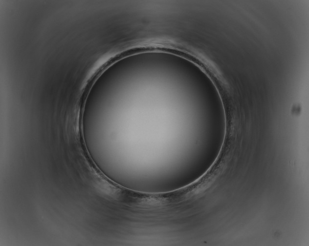 X0000090421224200707131201