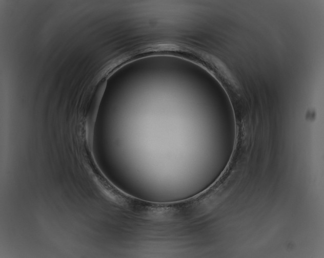X0000090421225200707131201