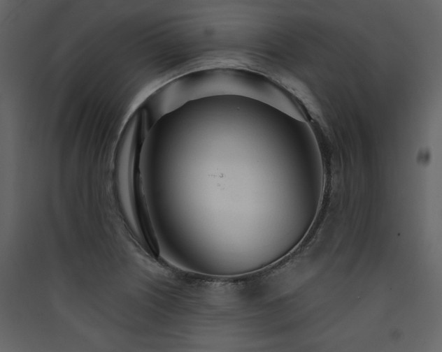 X0000090421226200707131201