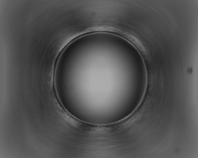 X0000090421228200707131201