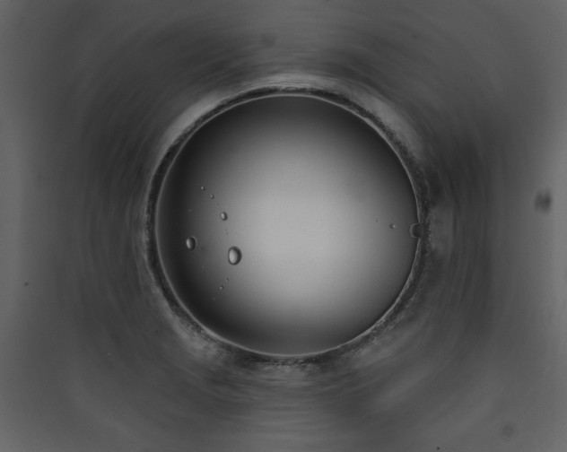X0000090421229200707131201
