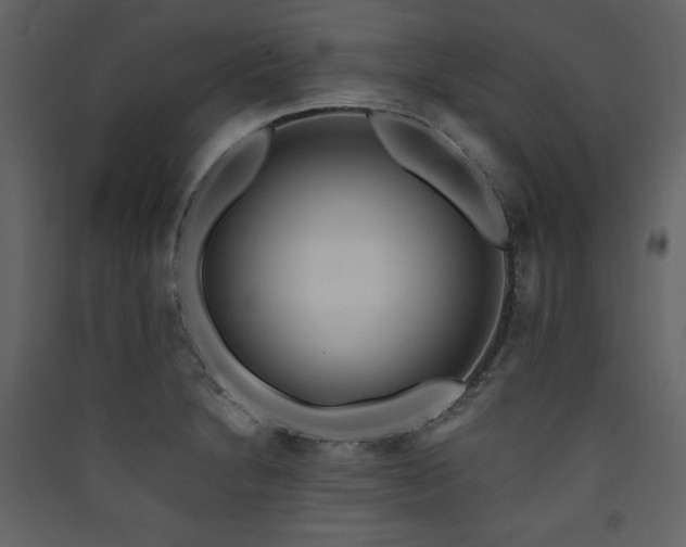 X0000090421230200707131201