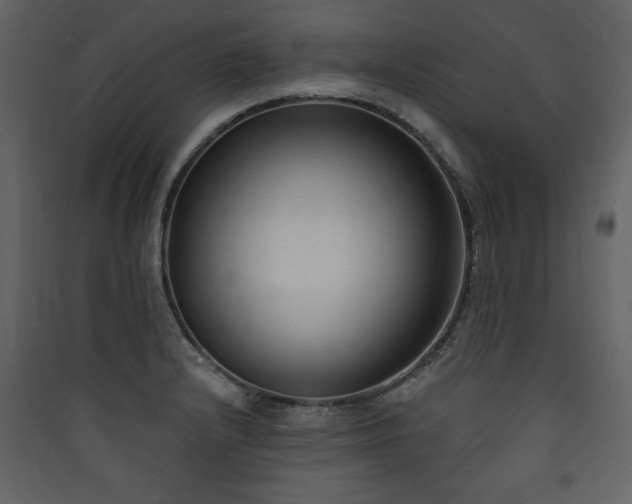X0000090421232200707131201