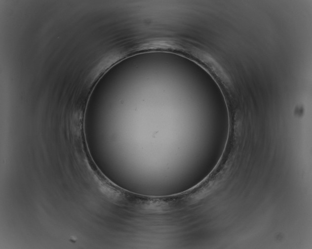 X0000090421233200707131201