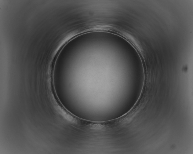 X0000090421235200707131201