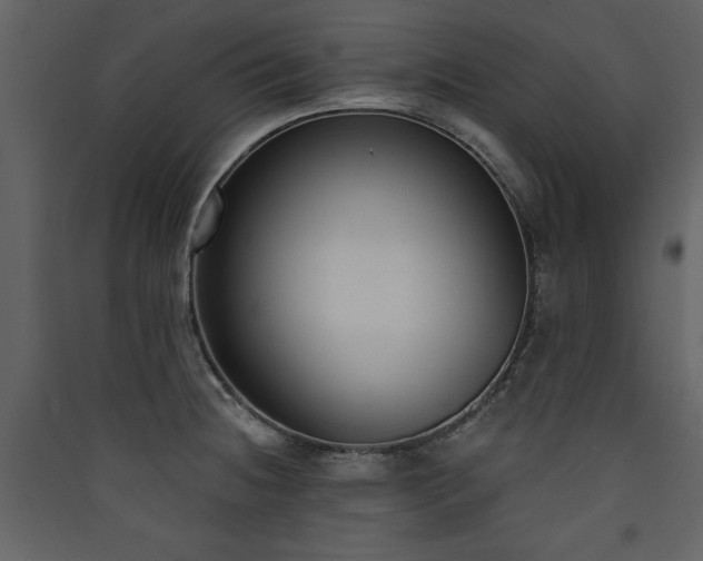 X0000090421236200707131201