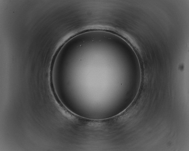 X0000090421237200707131201