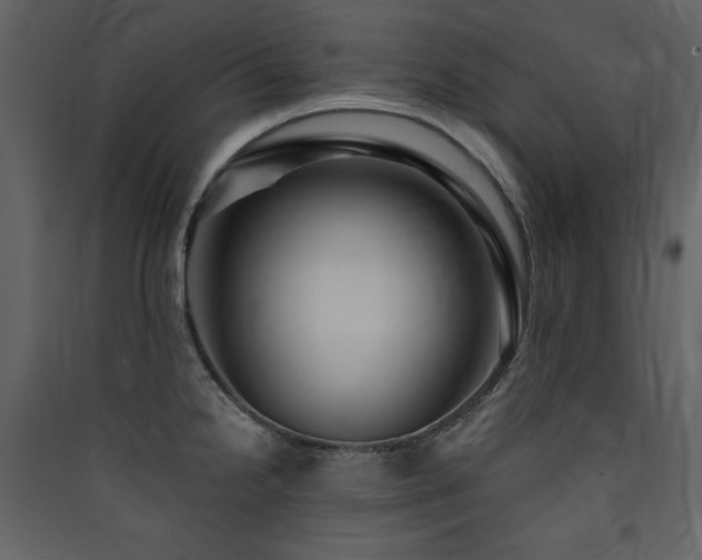 X0000090421238200707131201