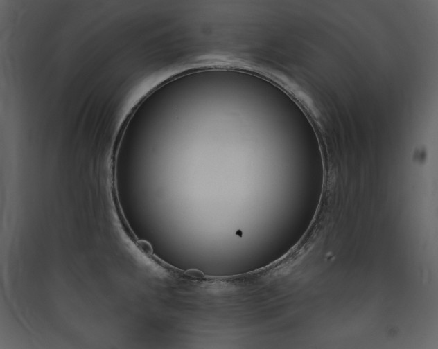 X0000090421239200707131202