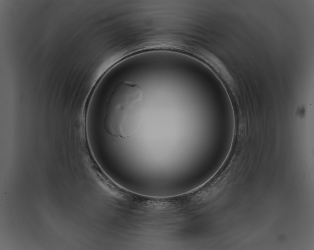 X0000090421242200707131202