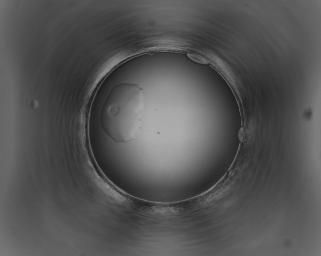X0000090421243200707131202