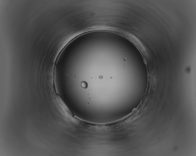 X0000090421244200707131202