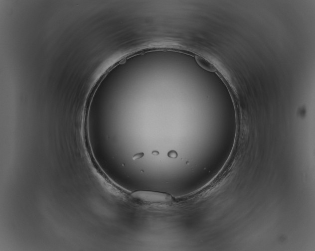 X0000090421245200707131202