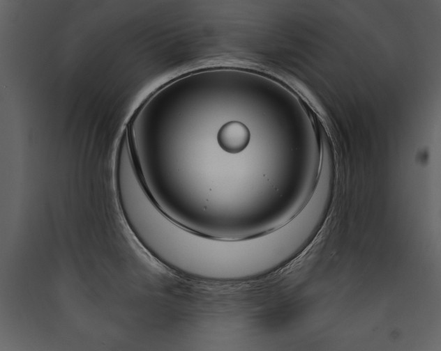 X0000090421246200707131202