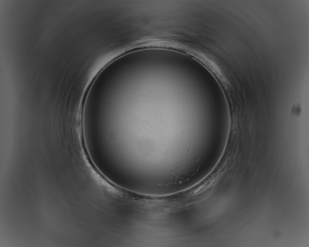 X0000090421247200707131202