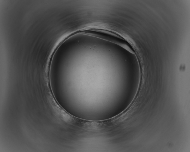X0000090421248200707131202