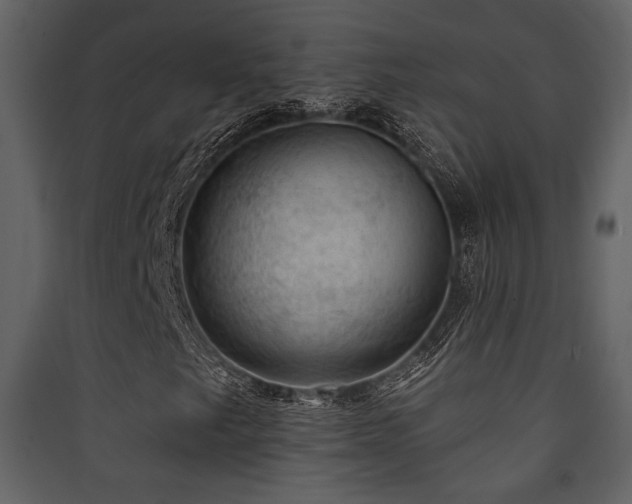 X0000090421249200707131201