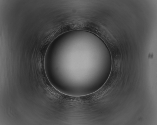X0000090421250200707131201