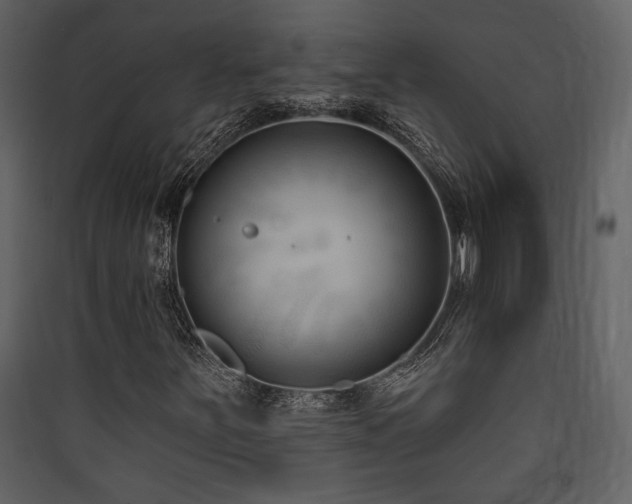 X0000090421251200707131201