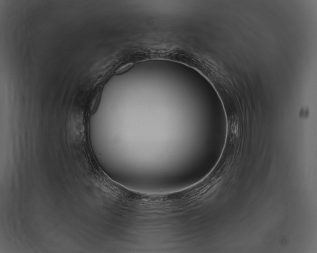X0000090421252200707131201