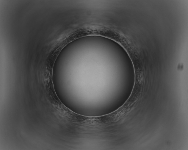X0000090421253200707131201
