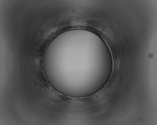 X0000090421254200707131201