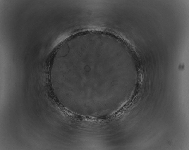 X0000090421255200707131201