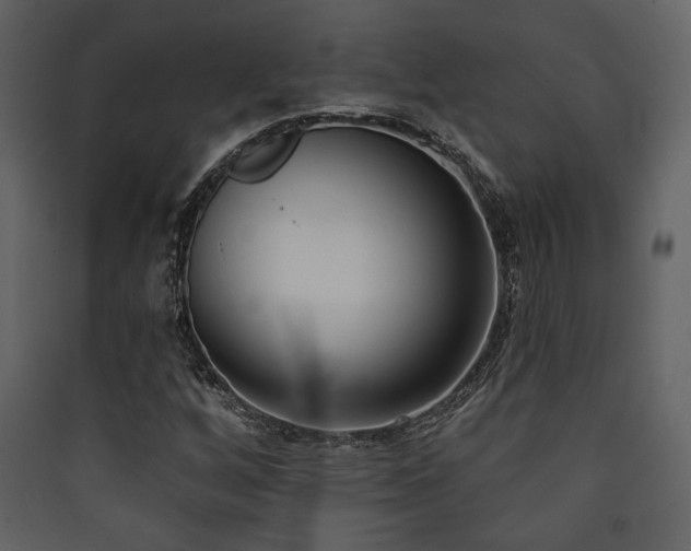 X0000090421256200707131201