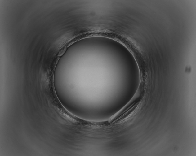 X0000090421257200707131201