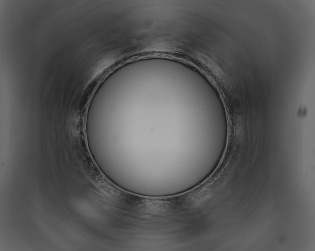 X0000090421258200707131201