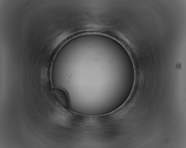 X0000090421259200707131201