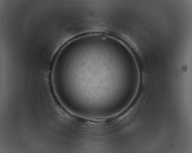 X0000090421260200707131201