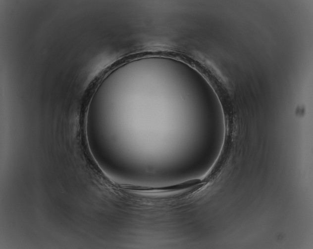 X0000090421261200707131201