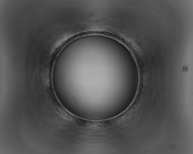 X0000090421262200707131201