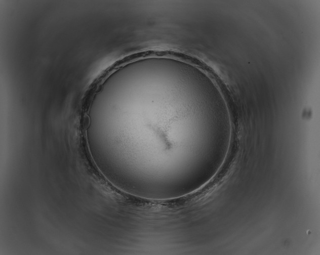 X0000090421263200707131201