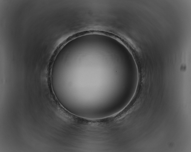 X0000090421264200707131201