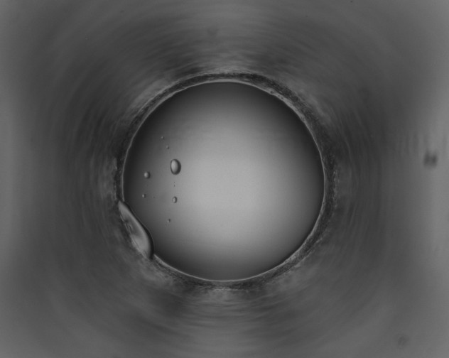 X0000090421265200707131201