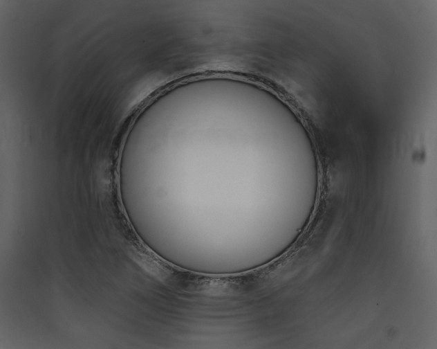 X0000090421266200707131201